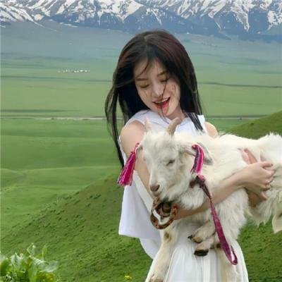拯救绿色星球!